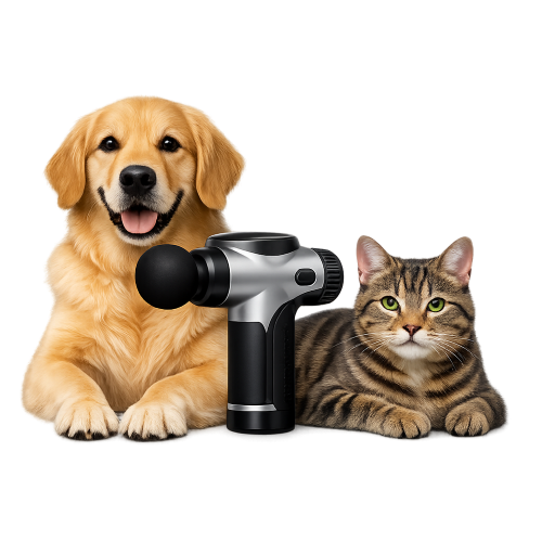 Masážní přístroje